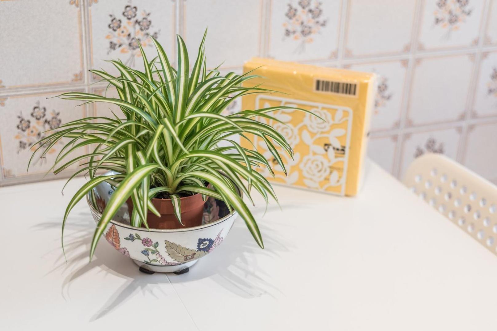 Guestready - Eclectic Haven In The Heart Of Porto Daire Dış mekan fotoğraf